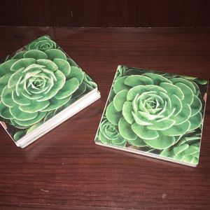 Ceramic cacti coasters